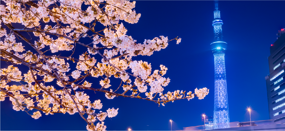 Asakusa Sakura & Skytree